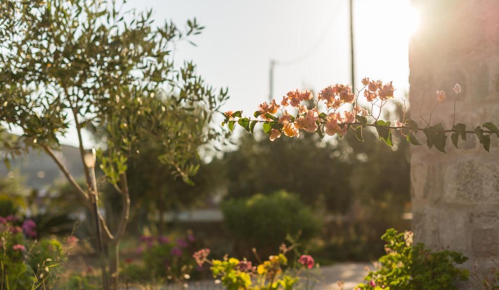Villa Patmos Netia สกาลา ภายนอก รูปภาพ