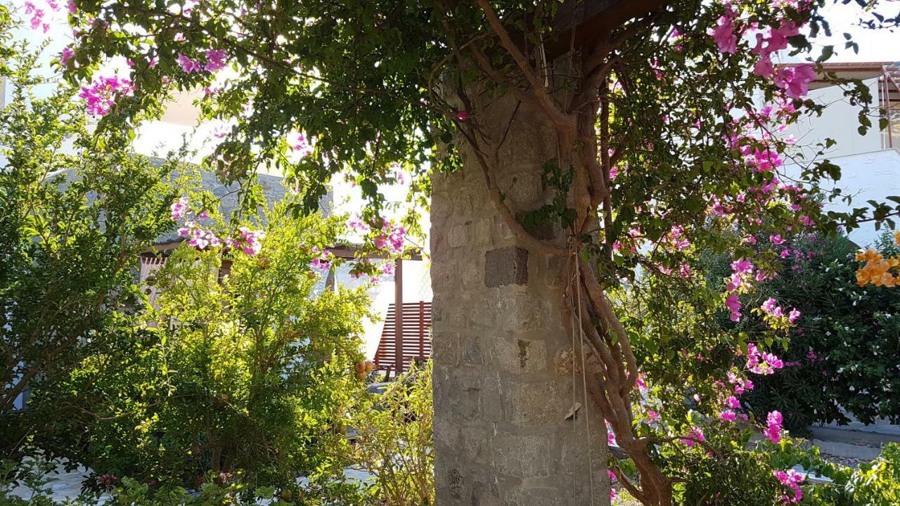 Villa Patmos Netia สกาลา ภายนอก รูปภาพ